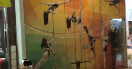 POLE LIFE TRAINING POLE LIFE TRAINING